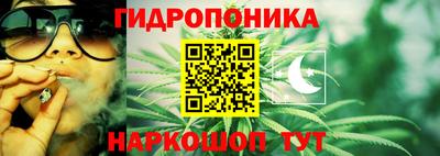 дживик Малгобек