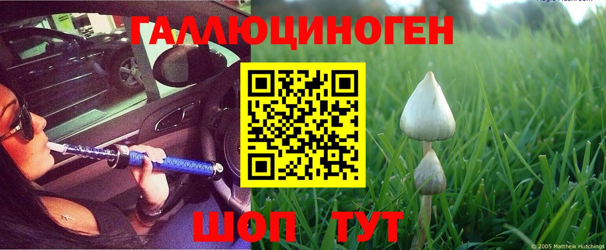 Галлюциногенные грибы мухоморы  Вход с VPN  Гулькевичи 